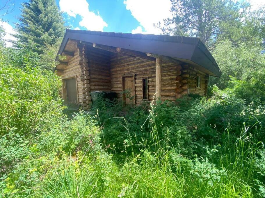 Aspen'S Cabin ويلسون المظهر الخارجي الصورة
